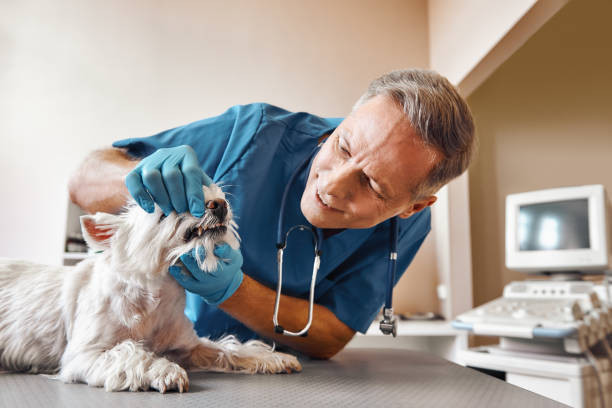 Best Weekend Emergency Dentist in Gautier, MS