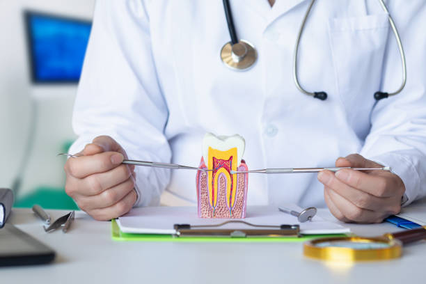 Best Emergency Broken Tooth Repair in Gautier, MS